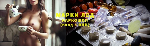ГАЛЛЮЦИНОГЕННЫЕ ГРИБЫ Абаза