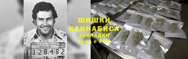 ГАЛЛЮЦИНОГЕННЫЕ ГРИБЫ Абаза