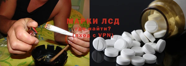 ГАЛЛЮЦИНОГЕННЫЕ ГРИБЫ Абаза