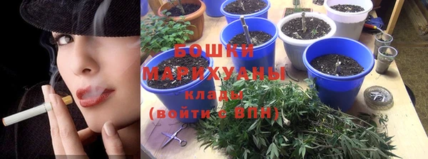 ГАЛЛЮЦИНОГЕННЫЕ ГРИБЫ Абаза