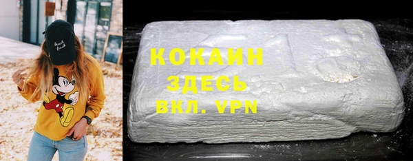 ГАЛЛЮЦИНОГЕННЫЕ ГРИБЫ Абаза