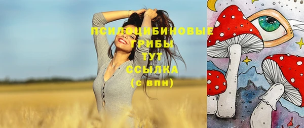 ГАЛЛЮЦИНОГЕННЫЕ ГРИБЫ Абаза