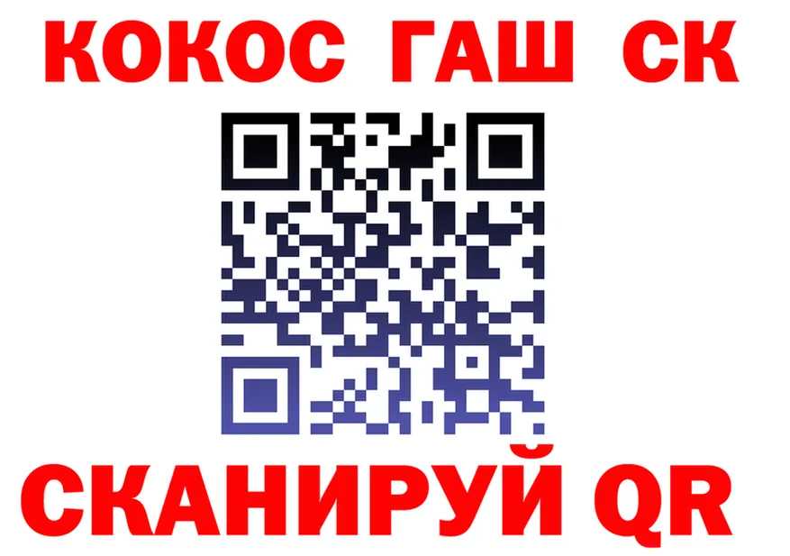 A PVP мука ТОР площадка OMG Владикавказ