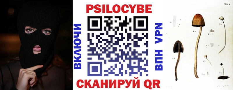 Псилоцибиновые грибы Psilocybine cubensis  купить   shop клад  Владикавказ  hydra как зайти 
