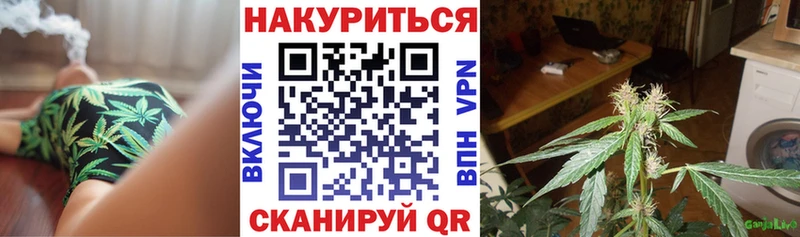 наркотики  Владикавказ  Марихуана White Widow 
